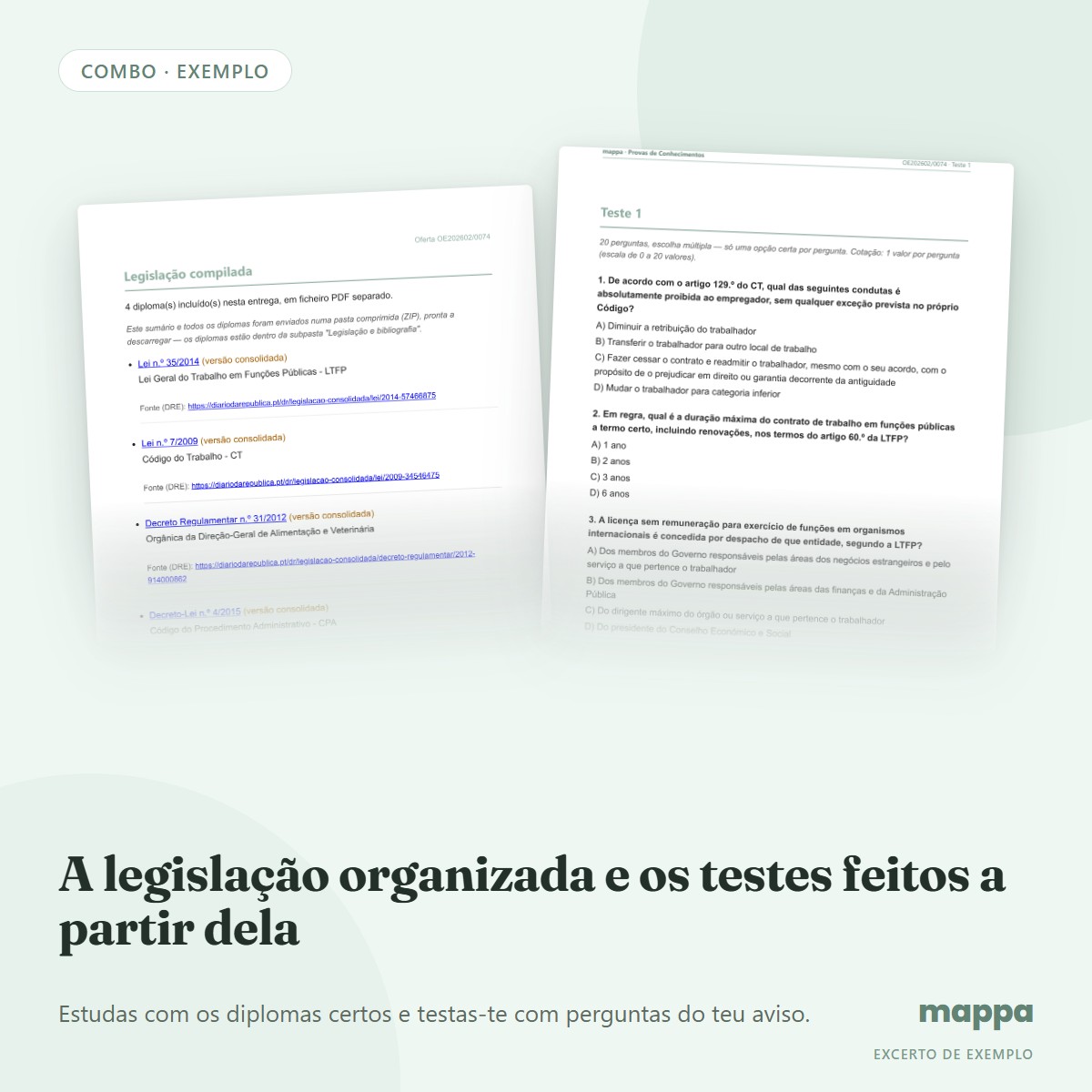 Combo: o sumário da legislação e uma página de um teste feito a partir dela